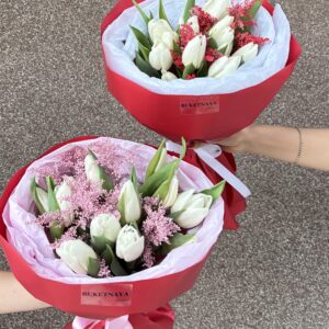 Tulips ✨